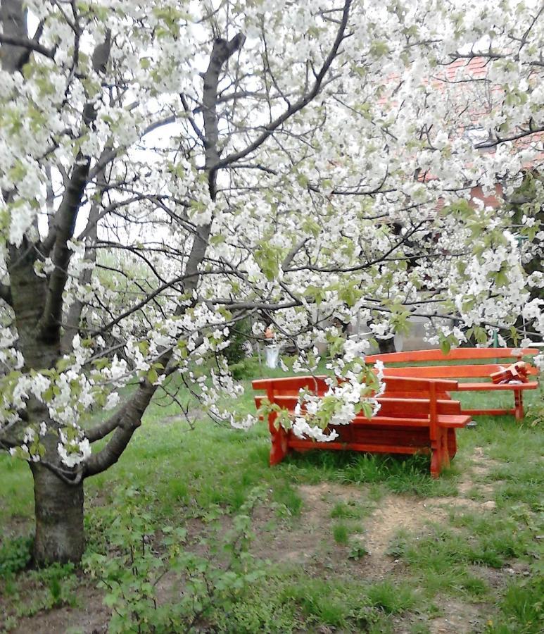 Apartmán Valeria Vendeghaz Budakalász Exteriér fotografie